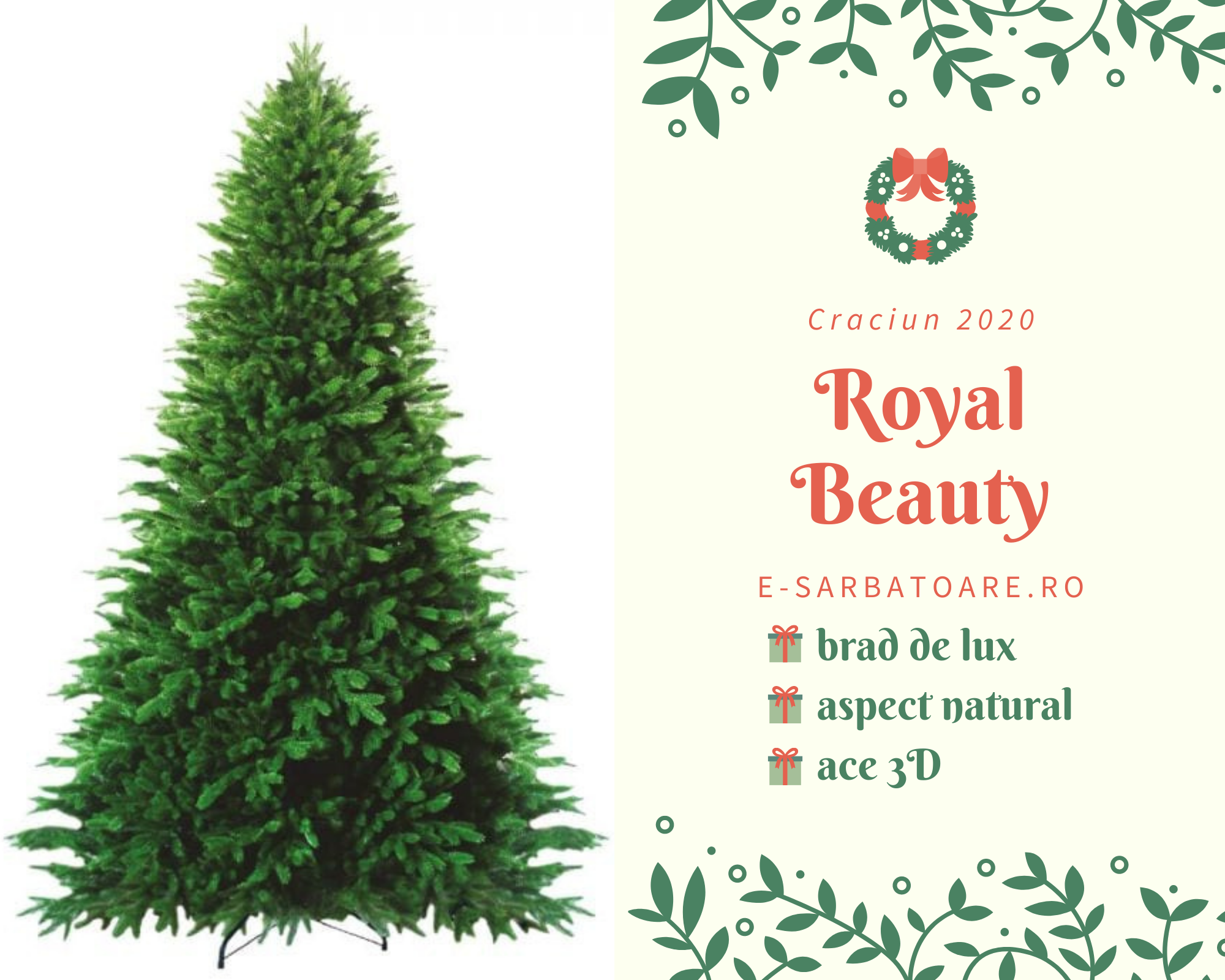 brad royal beauty e-sarbatoare